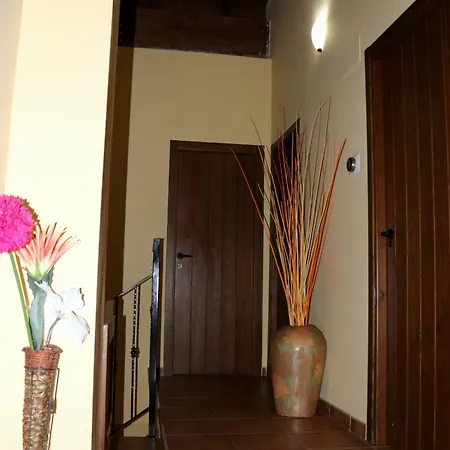 Claudia 阿尔巴拉辛